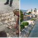 Ekocid u Novom Pazaru: Reka Raška ostala bez života – građani traže odgovornost