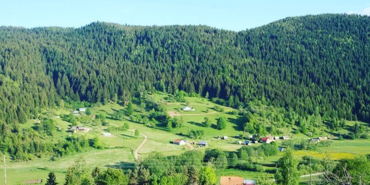 Kratkotrajno osvježenje sa lokalnim pljuskovima, evo kada se vraća tropski talas