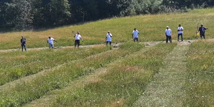 Bizarna svađa tokom kosidbe: Amir zapalio sijeno komšiji i prijetio ubistvom porodice