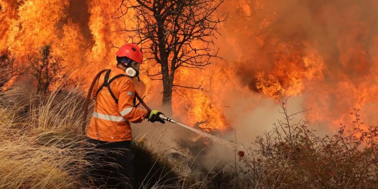 Srbija se suočava sa velikim brojem požara, najmanje 14 povređenih