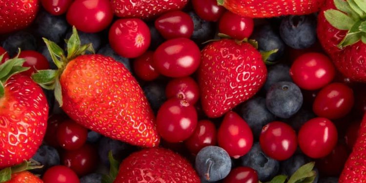 Virus hepatitisa A u zamrznutom voću iz Srbije: Zdravstveni alarm na nemačkom tržištu