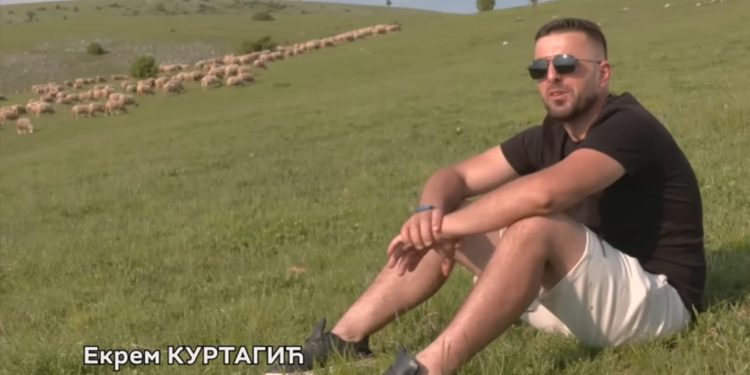 Četir brata u zajednici sa 21 člana porodice uzgajaju preko 1500 ovaca u selu Čitluk na Pešteru VIDEO