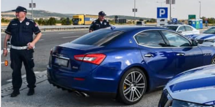 Drama na jugu Srbije: Policijska patrola spasila muškarca nakon dvostrukog ujeda zmije