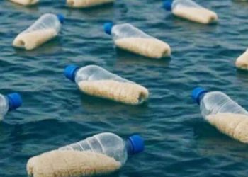 Boce nade za Gazu: Ljudi iz Afrike bacaju hranu u more u nadi da će stići do opkoljene Gaze