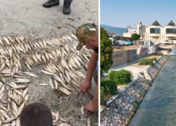 Pomor ribe u rijeci Raška: Tužilaštvo pokreće krivični postupak protiv Dž.K. iz Novog Pazara