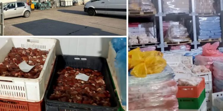 Sprečen promet 40 tona pilećeg mesa zaraženog salmonelom: Uhapšeni otac i sin