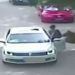 Tragedija u safari parku: Tigar usmrtio ženu pred porodicom VIDEO