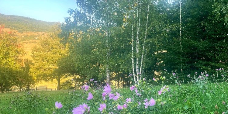 Kalendarski jesen stigla, vremenski još ne: Sunce ostaje, ali ne zadugo