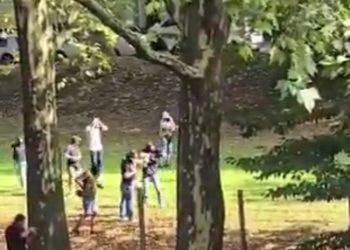 Učenik (17) sa Kosova napao nastavnicu, policija ga upucala VIDEO