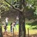 Učenik (17) sa Kosova napao nastavnicu, policija ga upucala VIDEO