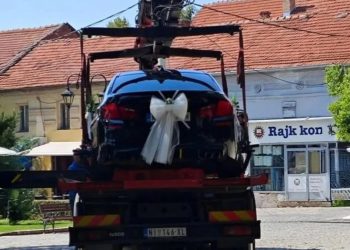 Pauk odneo auto za mladence, slika i izjava mladoženje postala viralna na društvenim mrežama