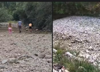 Ibar ponovo presušio, apel građanima i udruženjima na spasavanje riba i rječnog ekosistema
