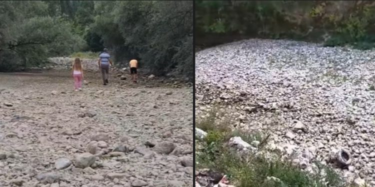 Ibar ponovo presušio, apel građanima i udruženjima na spasavanje riba i rječnog ekosistema