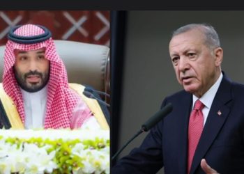 Formiranje saveza Egipta, Turske, Saudijske Arabije i Palistana: Ekonomska i nuklerna sila