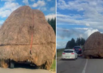 Sjenica: Traktor sa „original pakovanjem“ sijena izazvao smijeh i zabrinutost VIDEO