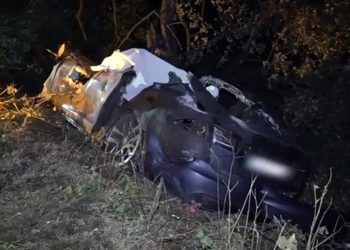 Tragedija u Njemačkoj: Otac i dvoje djece izgorjeli u Tesli – zbog kvake nisu mogli biti spašeni