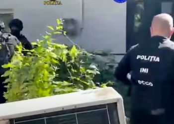 Srbija kao „poligon za ruske službe“: Otkrivanje paravojnih kampova sramota