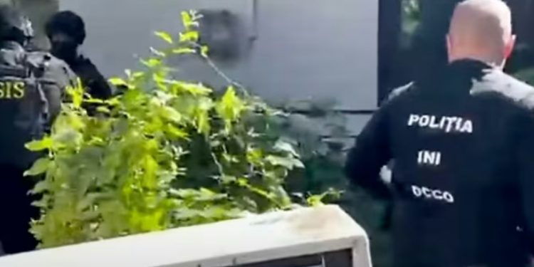 Srbija kao „poligon za ruske službe“: Otkrivanje paravojnih kampova sramota