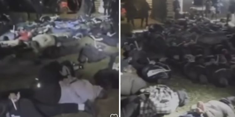 Akcija MUP-a BiH: Privedeno 84 osobe iz zemalja regiona zbog zlostavljanja životinja- borba pasa