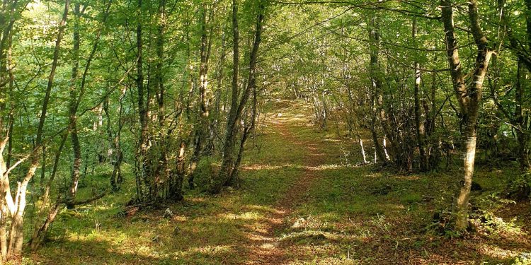 Još malo oblačno, pa povratak sunca: Stabilizacija vremena i miholjsko ljeto