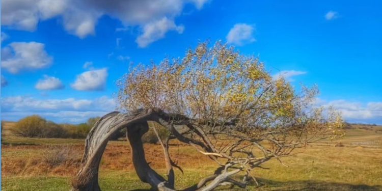 Danas oblačno sa kišom, ponove će nas ugrijati sunce a evo i kad