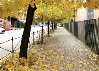 Topli talas nad Sandžakom: Sunčano, do 23 stepena – zahlađenje stiže od srijede