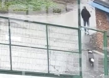 Stravične optužbe na račun muškarca koji je krao pse lutalice i prodavao meso