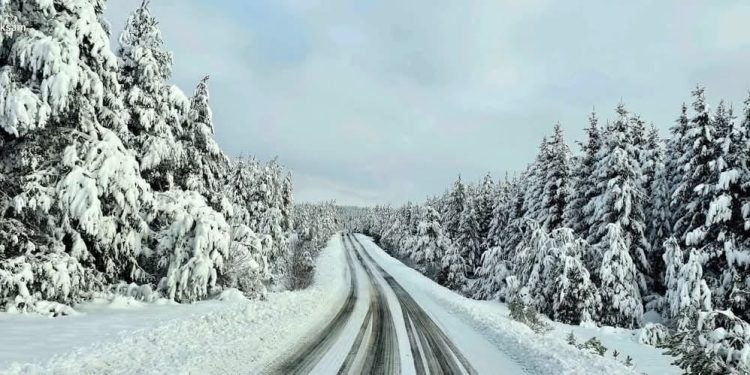Vremenska prognoza  do kraja godine: Kada će snijeg