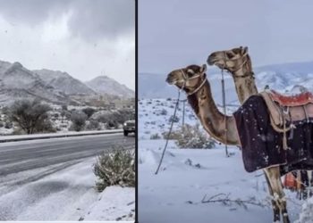 Neuobičajeni prizori u Saudijskoj Arabiji: Umjesto vrućina snježni pokrivač