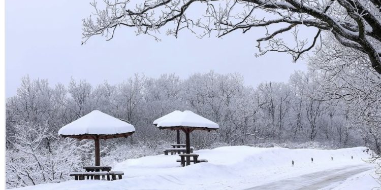 Hladan kraj 2025. godine u Srbiji, evo kad nam se sunce ponovo vraća