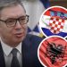 Vučić optužio Hrvatsku i Albaniju da stoje iza protesta u Srbiji