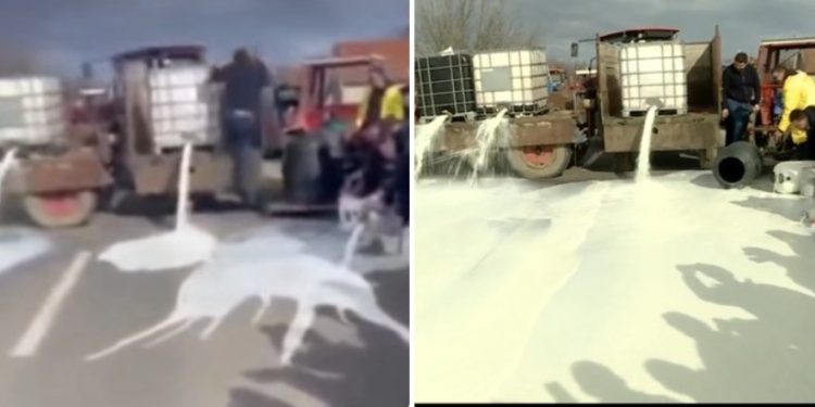 Masovni protest proizvođača mleka – blokade puteva i prosipanje tona mleka