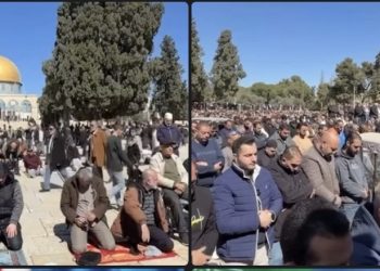 Palestinci se ne obaziru na prijetnje i ograničenja: Hiljade vjernika klanjalo prvu džumu u Ramazanu u Al Aksu