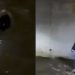 Hrabri Sarajlija spasio stariju ženu koja je upala u rijeku VIDEO