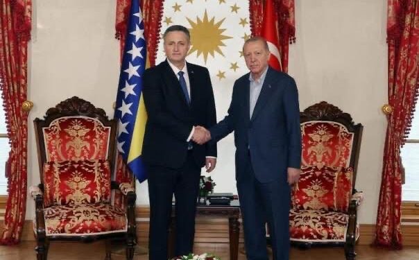 Sastanak Erdogana i Bećirovića: Turska će se snažno suprotstaviti svakome ko ugrožava BiH