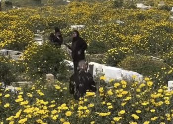 Mezarje šehida iz Gaze procvjetalo, porodice  u toku Bajrama obišle ubijene članove VIDEO