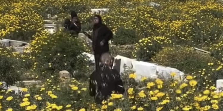 Mezarje šehida iz Gaze procvjetalo, porodice  u toku Bajrama obišle ubijene članove VIDEO