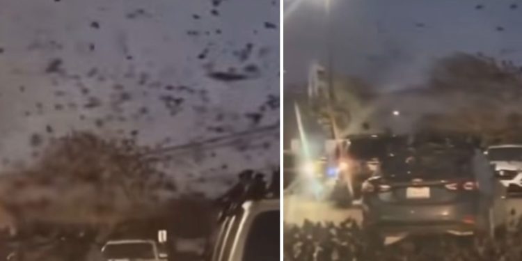 Tel Aviv preplavljen jatima vrana i gavrana, jevreji u panici