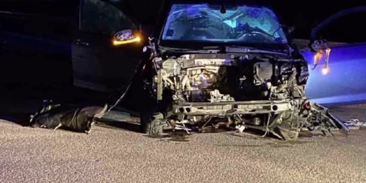 Teška saobraćajna nesreća na putu Raška–Kraljevo: stradao studen K.K. iz Novog Pazara, dvojica povređena