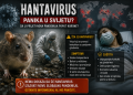 Panika zbog hantavirusa u svijetu: Da li prijeti nova pandemija poput korone?