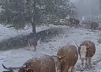 Snijeg se zabijeleo u djelovima BiH u sred maja, a da li će i u Sandžaku