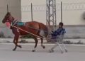 Najnoviji izum kao zaprežno vozilo: koja kategorija vozačke dozvole treba VIDEO