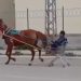 Najnoviji izum kao zaprežno vozilo: koja kategorija vozačke dozvole treba VIDEO