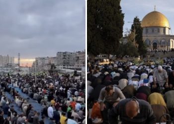 Veliki broj vjernika klanjao Kurban-bajram u Gazi i Al-Aksi VIDEO