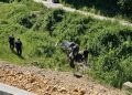Tragedija kod Bijelog Polja: Dvije osobe poginule nakon slijetanja automobila u kanal