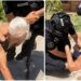 Beograd: Uhapšen Rožajac G.D. zbog prijetnji smrću glavnom tužiocu i ministru pravde VIDEO