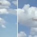 Medvjed se uspio na vrh betonskog električnog stuba, pokušali su mu pomoći ali strujni udar bio brži VIDEO