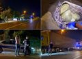 Novopazarska policija zaplijenila veću količinu marihuane: uhapšen jedan muškarac