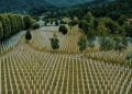 U Srebrenici najavljen skup srpskih nacionalista nakon smrti osuđenog ratnog zločinca: „Ponovo kopaju po ranama preživjelih“