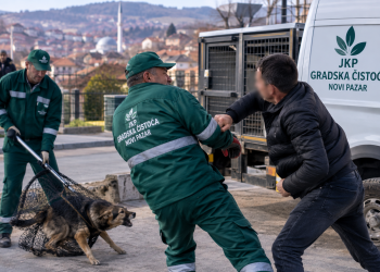 Napadnut radnik „Gradske čistoće“ u Novom Pazaru: Udario ga po ruci dok je hvatao psa lutalicu